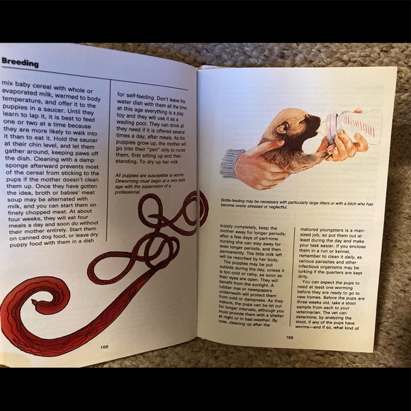 Book (Hardback):Rottweiler by Anna Nicholas - Picture 8 of 16